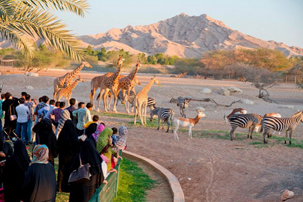 US$41 million expansion underway at UAE’s Al Ain Zoo