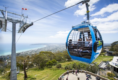 Arthurs Seat Eagle gets grand opening