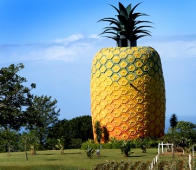 Work advances on new attractions and event space at Sunshine Coast’s Big Pineapple