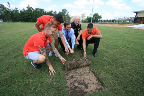 Turf laid on new fields at Blacktown Football Park