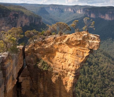 Botanists inspire new Blue Mountains attraction