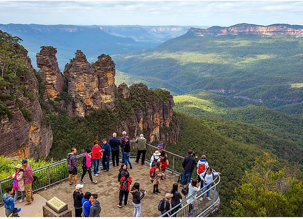 Collaboration tackles potential threats to Greater Blue Mountains World Heritage Area