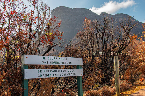 Bluff Knoll walking trail reopens after extensive repairs to bushfire damage