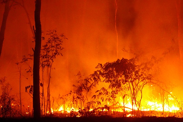 Bushfires have massive impact on Australian tourism industry