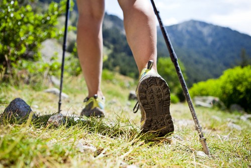 Massive growth in bushwalking as ‘green exercise’ and holiday activity