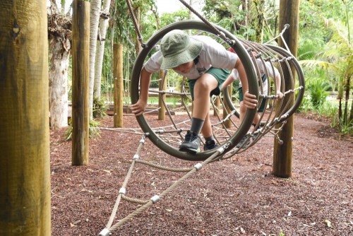 Cairns Nature Play recognised as Queensland’s top playspace