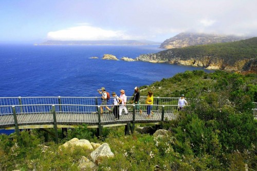 Tasmanian National Parks infrastructure struggles to cope with visitor demand