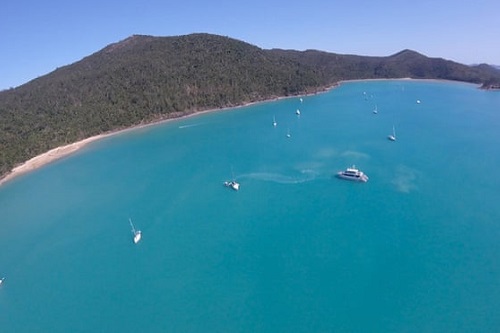 Third Whitsundays shark attack leads to fatality