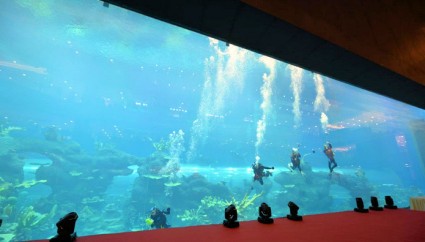 Chengdu Cube Oceanarium recognised with two Guinness World Records