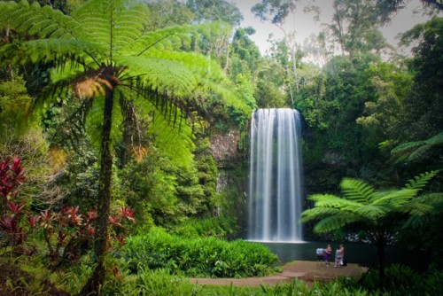 Ecotourism value of Queensland’s national parks flagged in Annual Report
