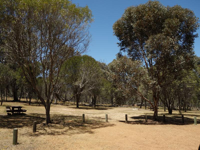 Public feedback sought on new parks and reserves management plan for Western Australia