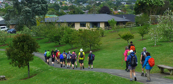Five Summits Trail enhanced in Auckland