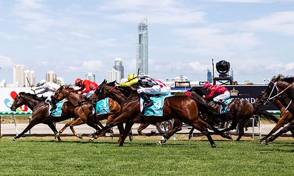 Collaboration aims to secure strong business case for Gold Coast Turf Club upgrade