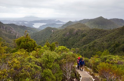 Aotea Conservation Park opened