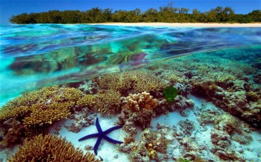 Minister claims UNESCO Great Barrier Reef decision shows Australia world leadership