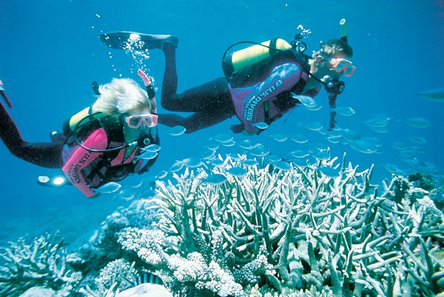 Third Great Barrier Reef scuba diving fatality in three months