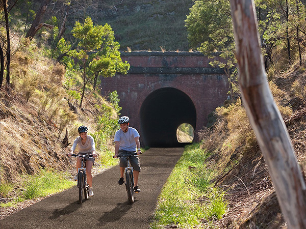 Great Victorian Rail Trail strategy supported by three Victorian councils