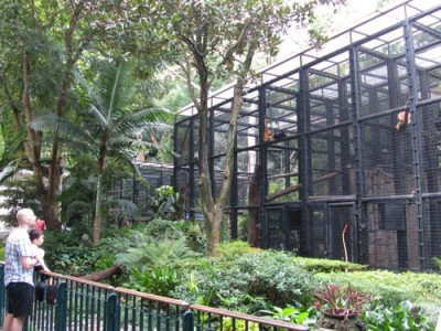 Panel urges major revamp of Hong Kong Zoological and Botanical Gardens
