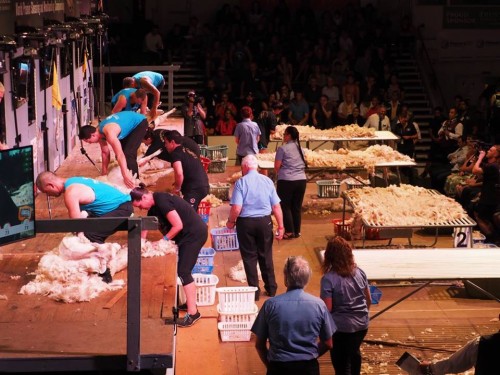 World Shearing and Woolhandling Championships a boost for Southland