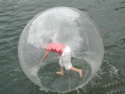 Questions over zorb ball safety