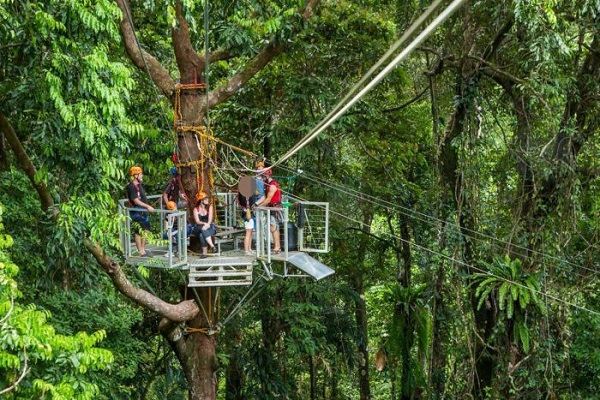 WorkSafe Queensland prosecution alleges safety failures in Daintree zip line fatality