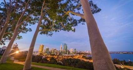 Kings Park named one of the world’s top 10 parks