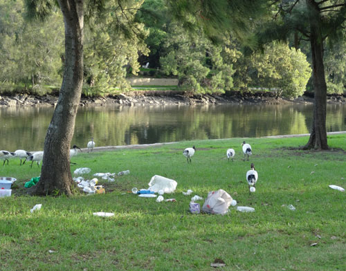 Report shows littering increase at parks and beaches