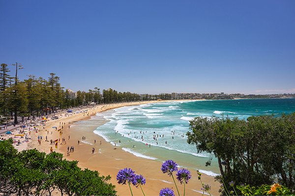 Local Government NSW tourism conference to be held in Manly