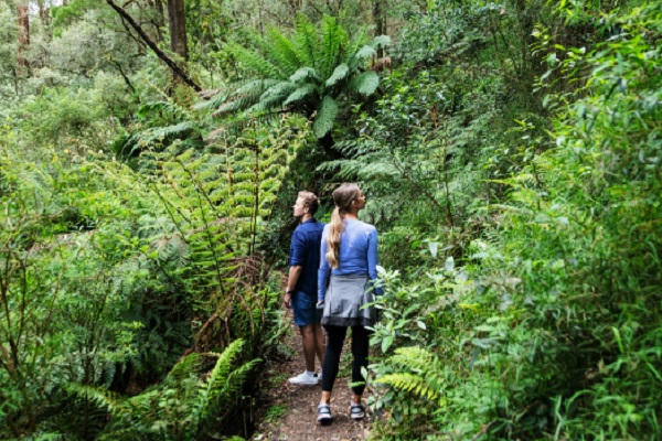 Great Otways National Park benefits from facility upgrades