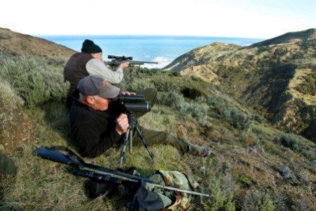 New Zealand recreation groups support Government moves for firearms reform