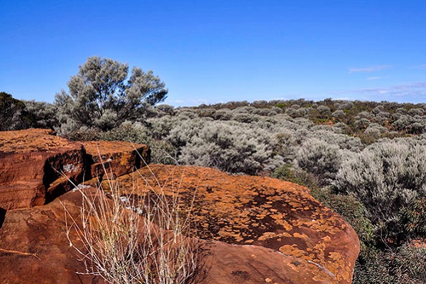NSW Government returns 15,000 hectares of land returned to traditional owners to form new national park