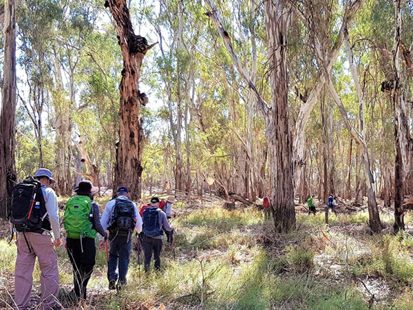 Ecotourism Australia continues to call for funding support from Federal Government