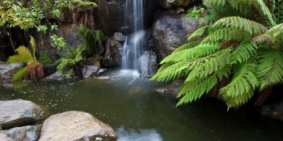 Day spa opens within the Australian National Botanic Gardens