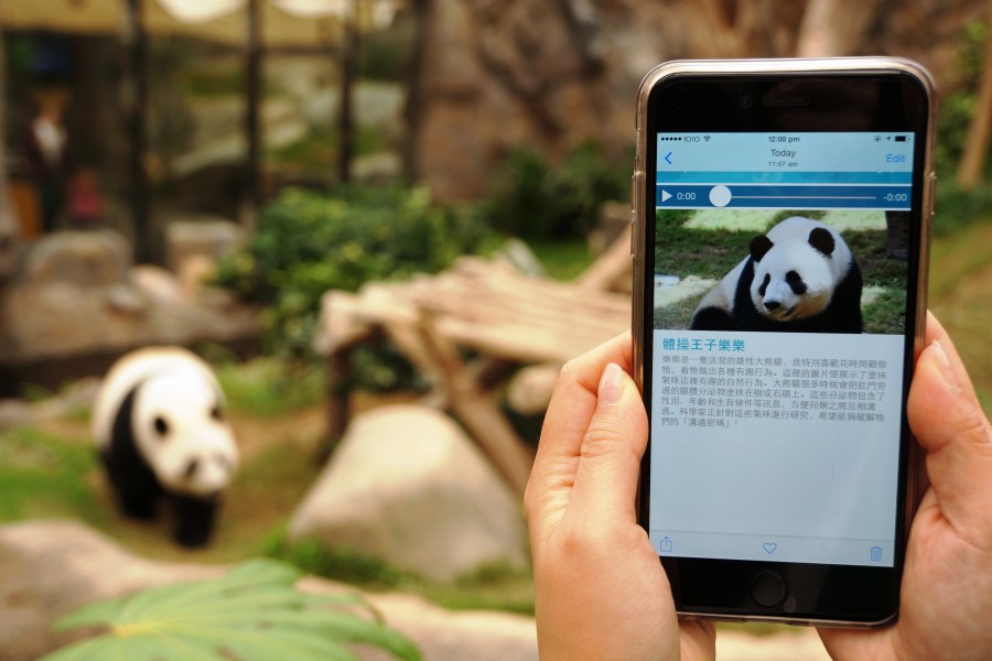 Ocean Park launches free Wi-Fi and new Mobile App to attract visitors