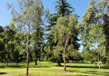 Victorian Government backs 13 new pocket parks in Melbourne’s suburbs