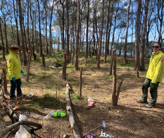 NSW National Parks and Wildlife Service investigate Pelican Island Reserve vandalism