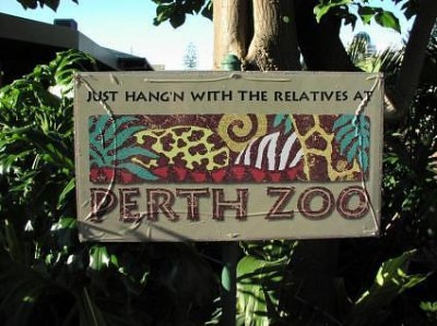 Perth Zoo loses breeding recommendations to open range zoos