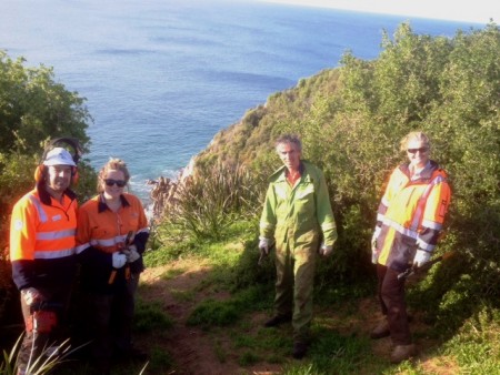 Environmental works help to regenerate Cape Woolamai