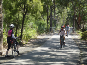 NSW Government to back rail trails