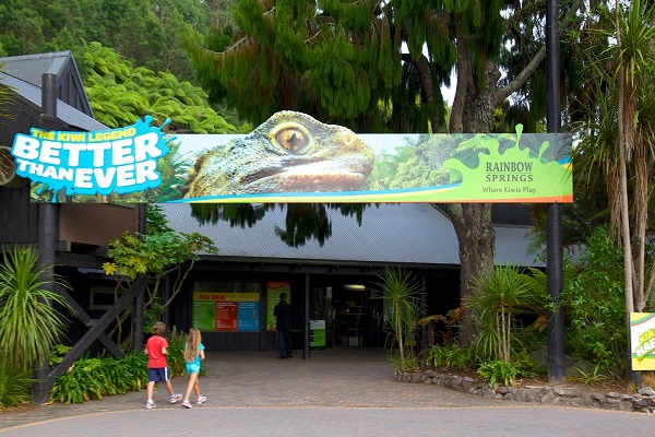 Rotorua’s Rainbow Springs Nature Park to close after ‘all options were explored’