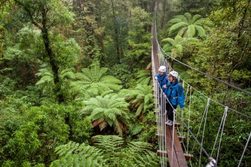 Rotorua Canopy Tours wins supreme Tourism Award