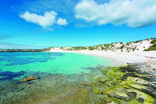 Rottnest Island celebrates a century of tourism
