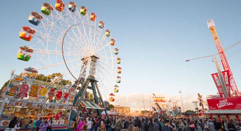 Comprehensive risk and safety assessments undertaken in advance of 2015 Sydney Royal Easter Show