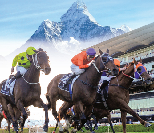 Sydney to hold ‘richest turf race in the world’
