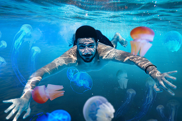 SEA LIFE Melbourne Aquarium marks April Fool’s Day with Jellyfish Dive Xtreme