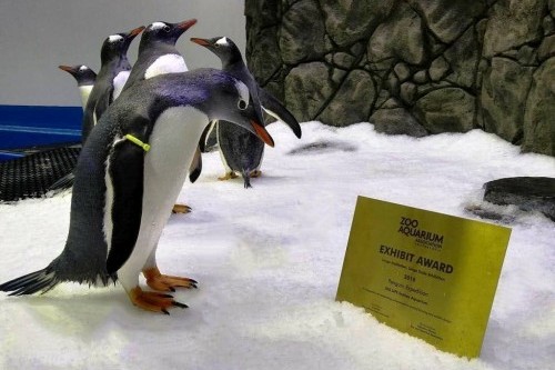 Sea Life Sydney Aquarium awarded for offering best large animal exhibit