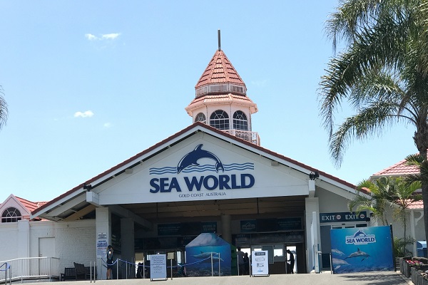 Sea World staff member to face Court over allegations of $19,000 theft