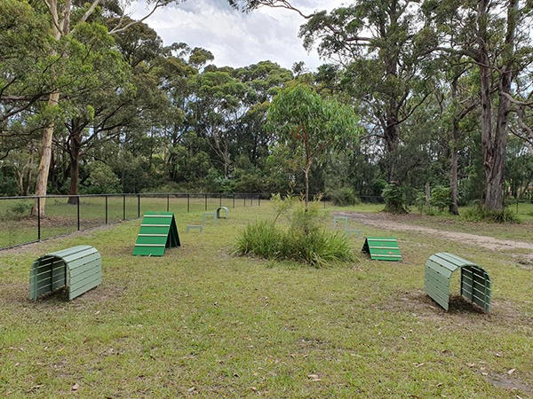 Shoalhaven embellishes dog off leash area with new agility equipment