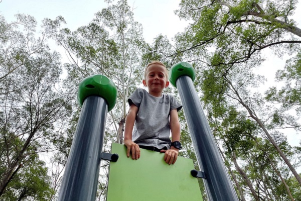 Sunshine Coast Council opens new ‘forest adventure’ park area