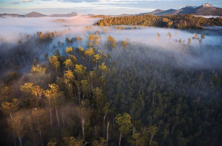 United Nations calls for ban on logging and mining in Tasmania’s world heritage area